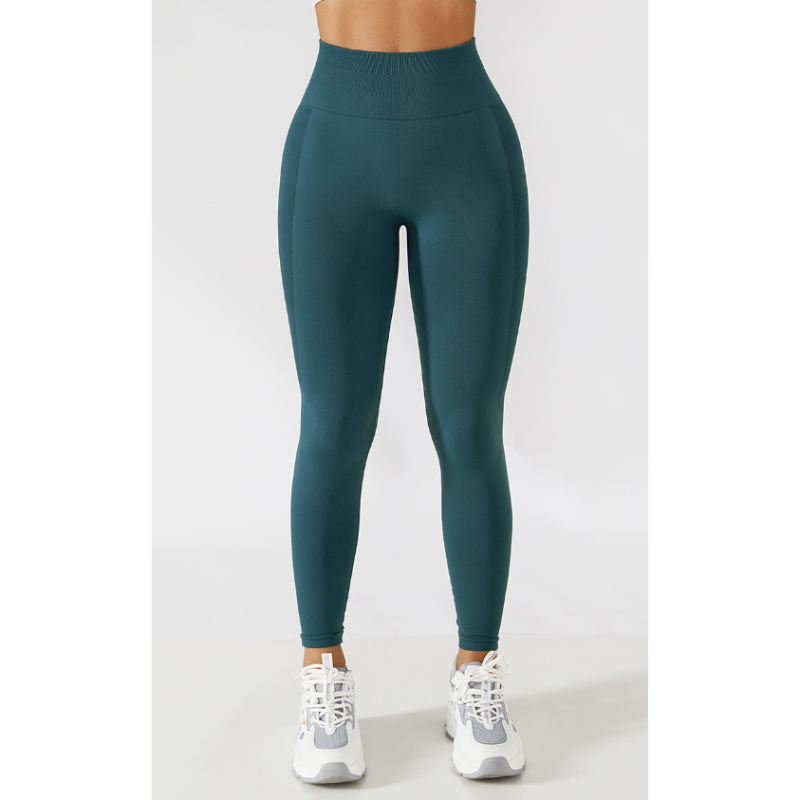 Artemis High Rise Seamless Leggings