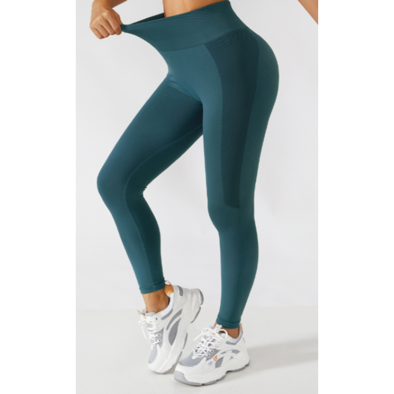 Artemis High Rise Seamless Leggings